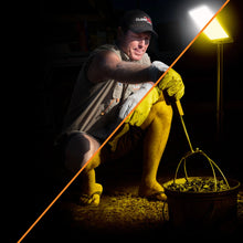 PRE-ORDER CAMPBOS Boss Camp Light