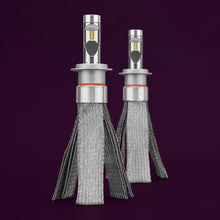 Stedi H7 COPPER HEAD LED BULBS (PAIR) on Clearance