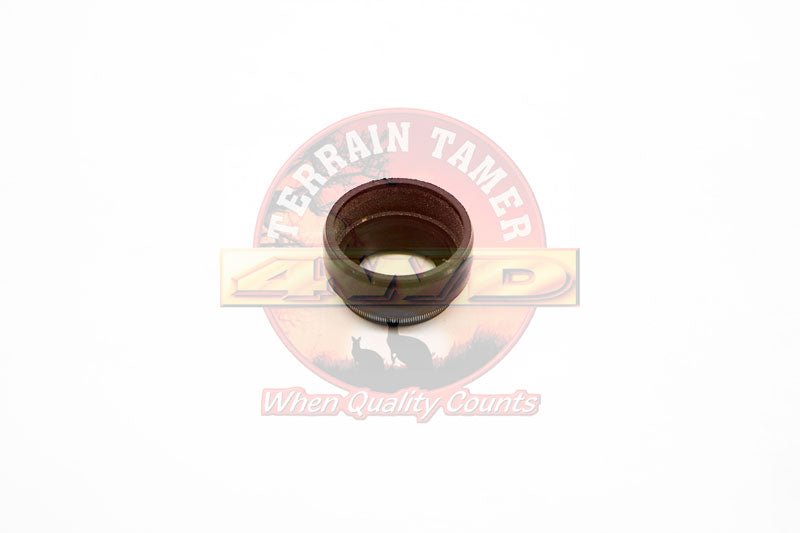Speedo gear shaft seal